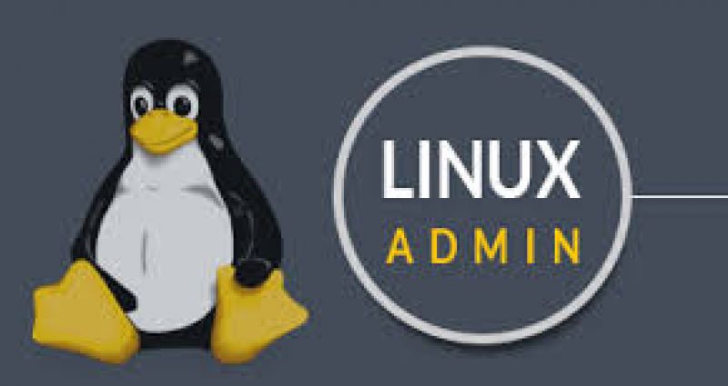 Администратор linux. Админ Linux. Требуется системный администратор Linux гифки. Требуется системный администратор Linux гиф.